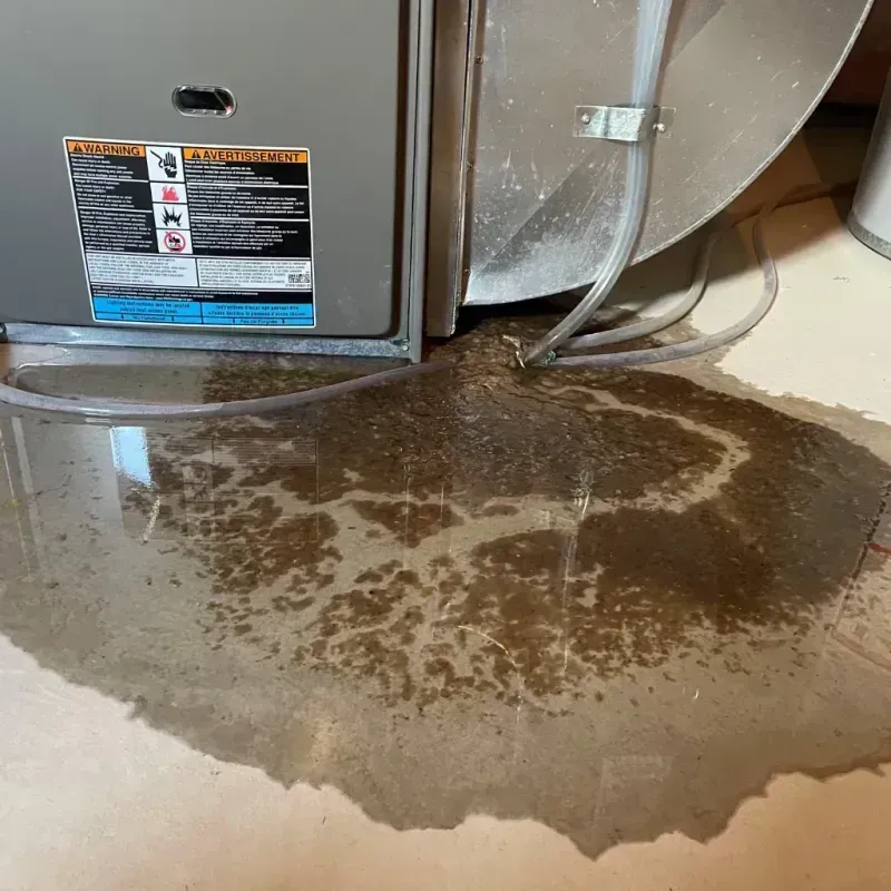 Appliance Leak Cleanup in Canisteo, NY